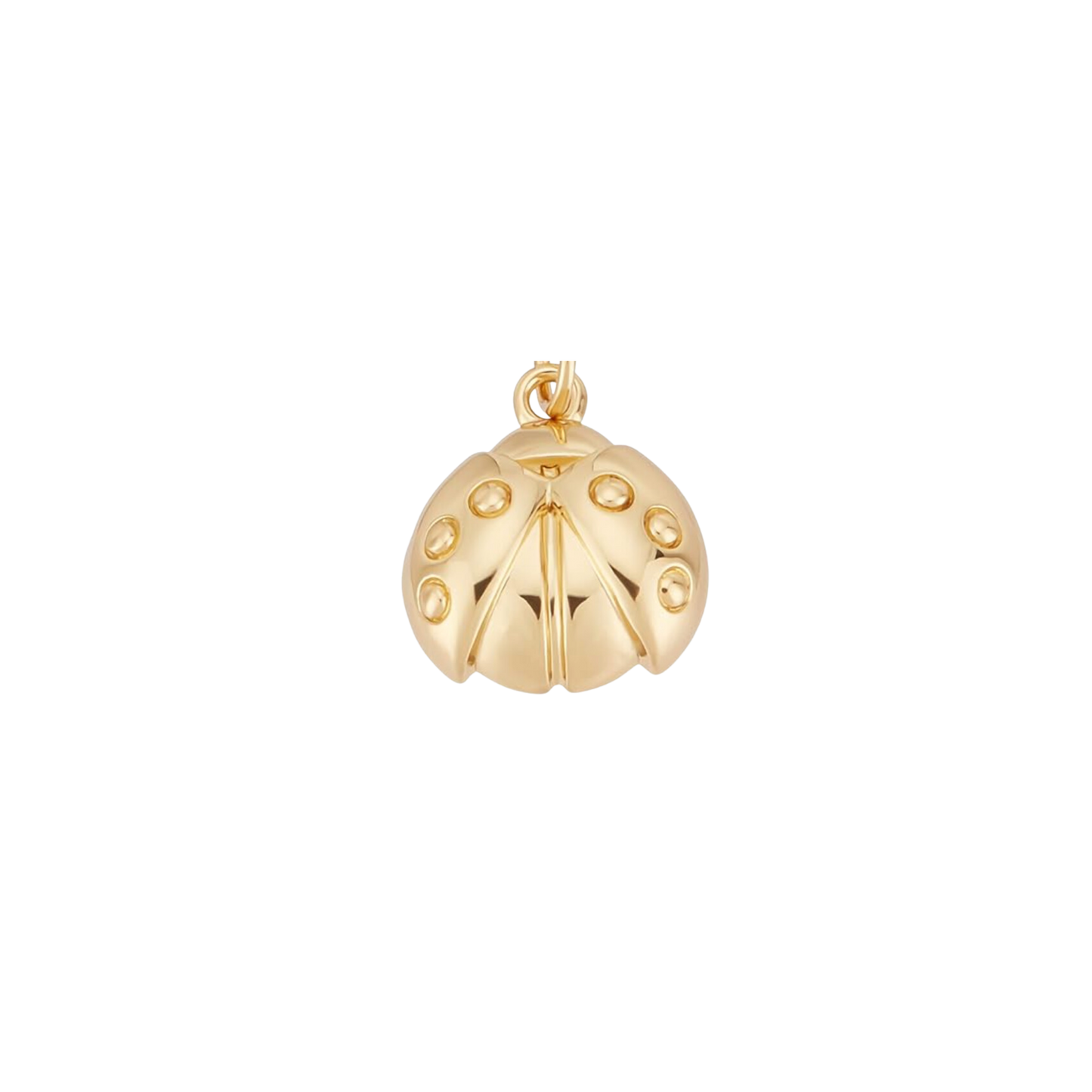 October 2024 Charms